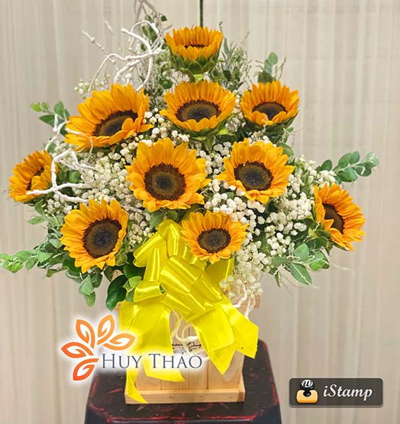 Lẵng hoa hướng dương đẹp.