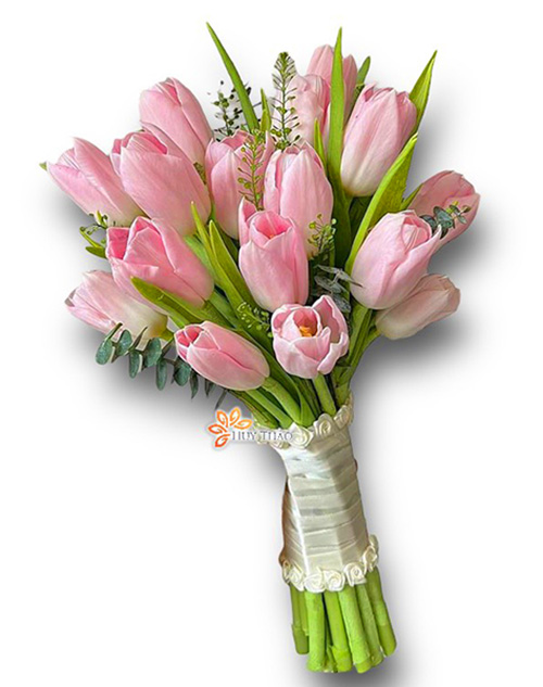 hoa cưới tulip