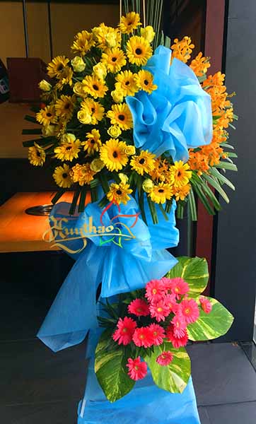 Ch&uacute;c Mừng Khai Trương Hồng Ph&aacute;t