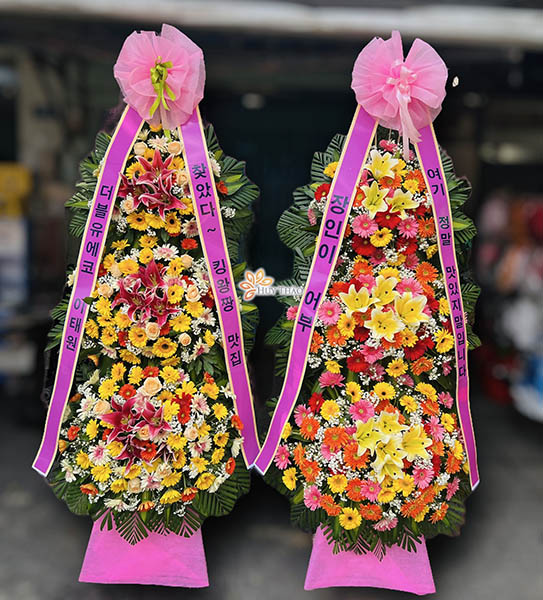 Hoa Khai Trương H&agrave;n Quốc