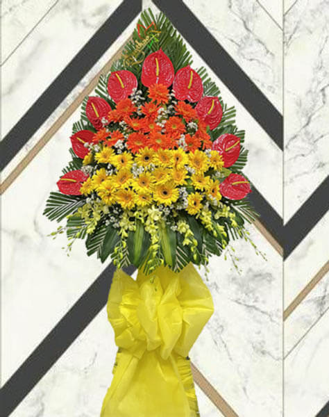 Hoa Mừng Khai Trương Cửa H&agrave;ng