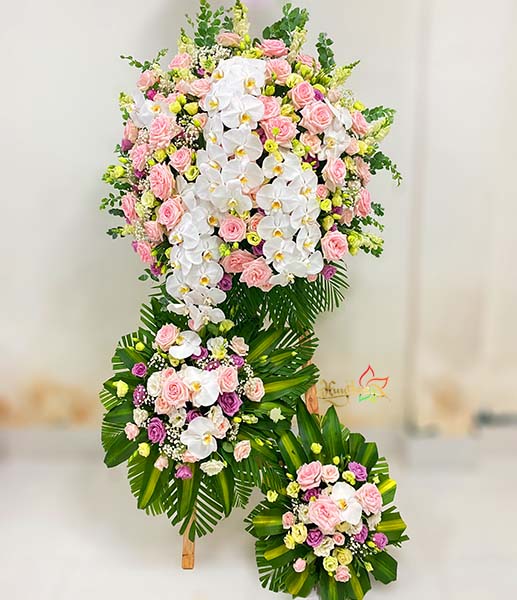 Hoa khai trương đại ph&aacute;t