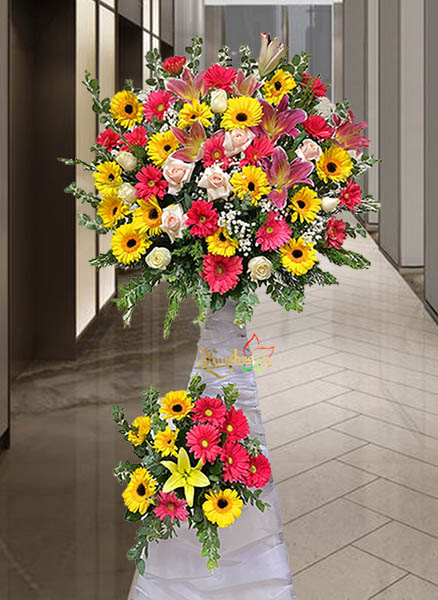 khai trương hồng ph&aacute;t