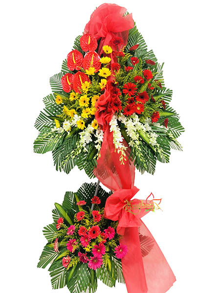 Mừng khai trương c&ocirc;ng ty