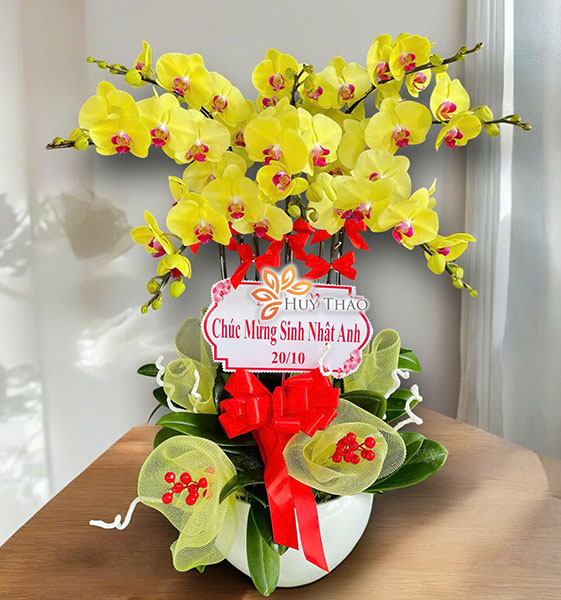 Chậu hoa lan khai trương